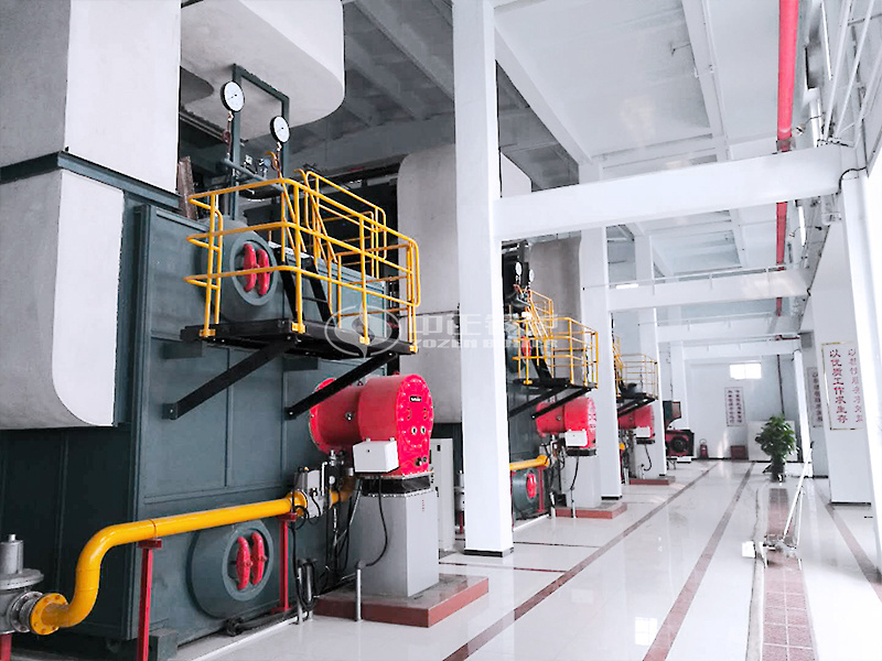 14MW SZS系列冷凝式燃?xì)鉄崴仩t項(xiàng)目